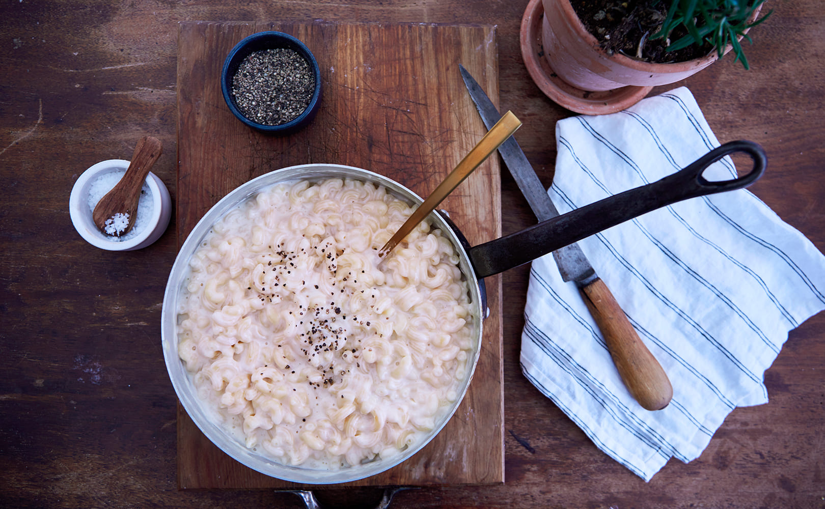 Nem mac and cheese med cremet Havarti