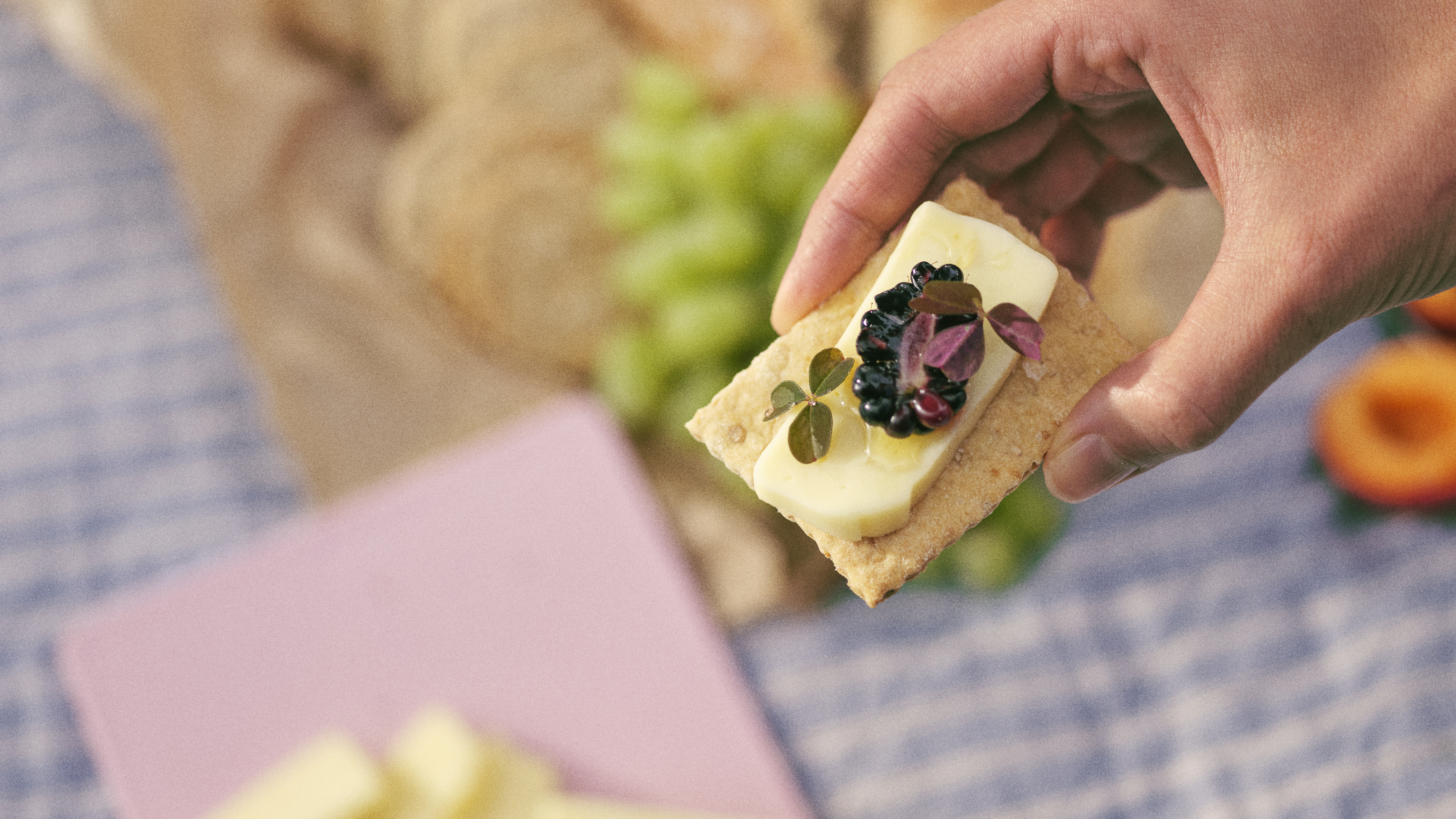 Accompaniments and extras 